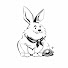8kqz1o5nbU8-channel-avatar-Grand Rabbit Finds