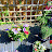 @WendyBell-l3k's avatar