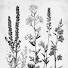 GooXu3Cluak-channel-avatar-Pretty Little Garden