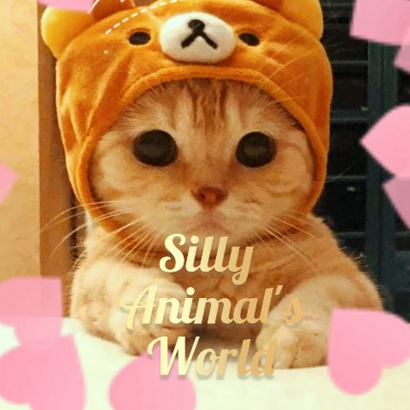 SILLY ANIMAL WORLD