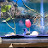 @Betta-k9p Avatar