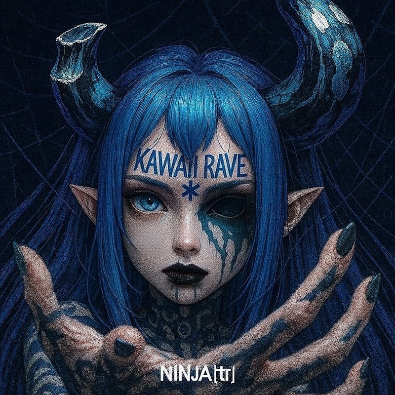NINJA (tr) - Topic