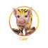 RqvrYhIbCdA-channel-avatar-DON TIGRE PRO 
