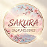ByxQWIIp-Ms-channel-avatar-Sakura Calm Melodies