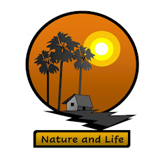 Nature and Life  channel thumbnail