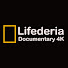 bIH2alwU_0c-channel-avatar-lifederia 4k