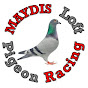MAYDIS Loft Pigeon Racing logo