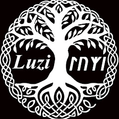 Luzi net worth