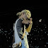 jjWTOGqk_Gk-channel-avatar-cloudyhyune