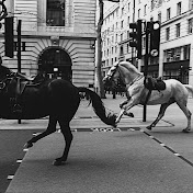 IFAND - トピック