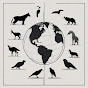 AnimalWorldFacts logo