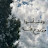 @nouralquran1700