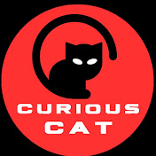Curious Cat Videos