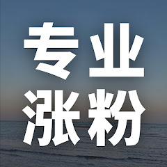 tiktok粉丝购买tiktok粉丝充值tiktok刷粉自助tiktok收入计算tiktok购买tiアイコン画像
