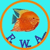 FishWater Aquatics