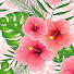 BSOJR6UHHtc-channel-avatar-happy