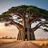 qCOlxbeg2xw-channel-avatar-Baobab