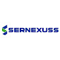 Sernexuss Immigration Services  logo