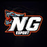 Xml_fjE68Hk-channel-avatar-NG E-SPORTS