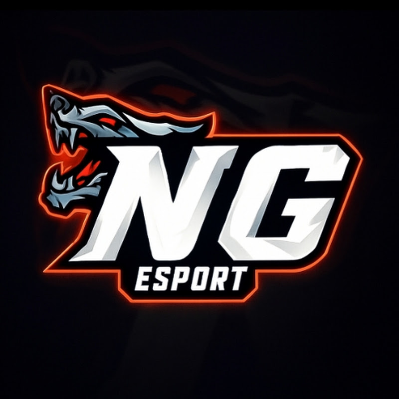 NG E-SPORTS