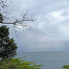 Beauty of Andaman 🌊🏝️