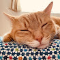 AMN Ch別館　(旧名KATZE Ch)