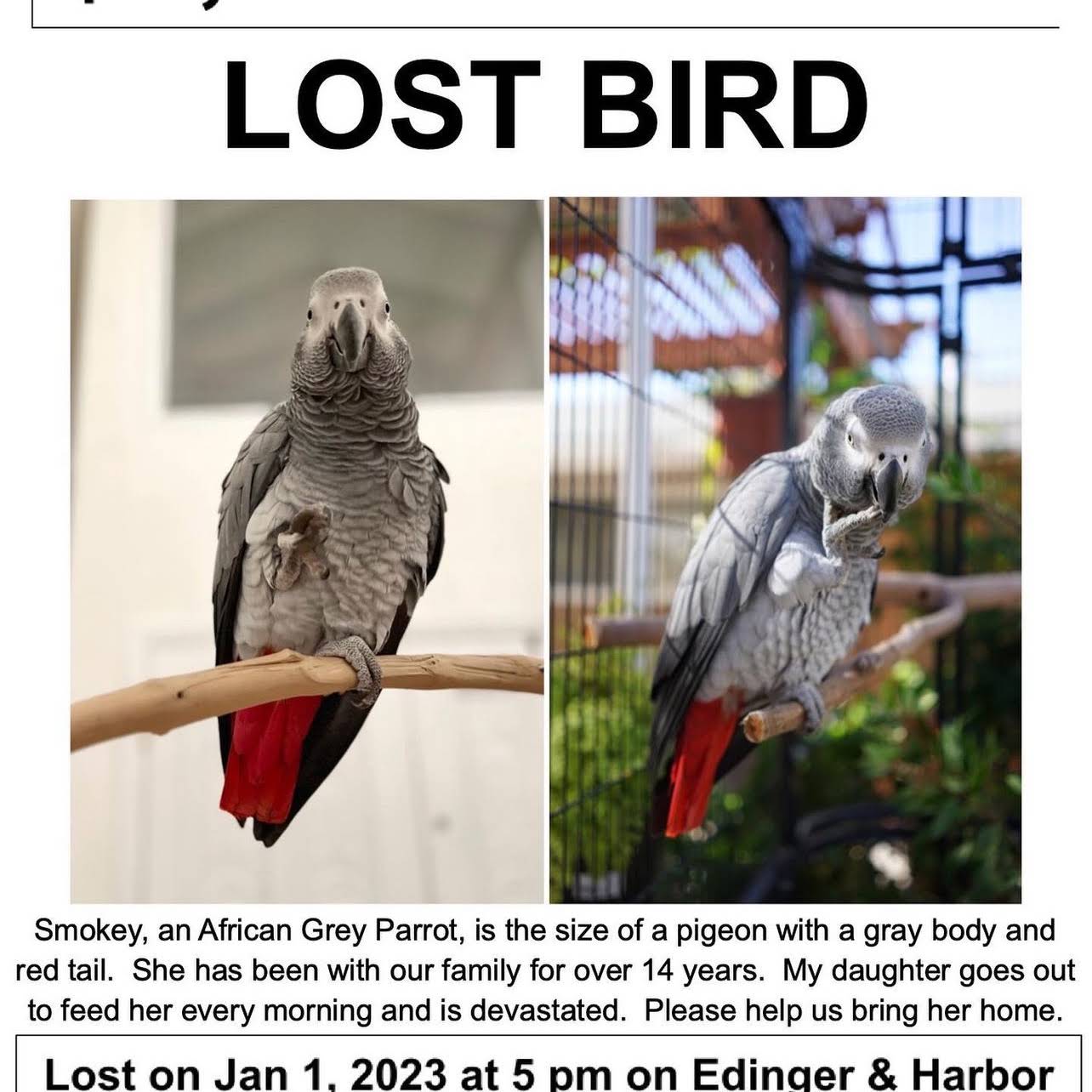 Post from Parrot Playhouse