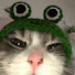fxF5cO3q24I-channel-avatar-RYN
