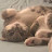 ChadCat