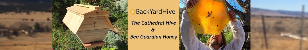 BeeGuardian Avatar canale YouTube 