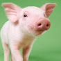 Pigs & Profit logo
