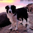 5Lup-UZvI1g-channel-avatar-GiantMt. Travel