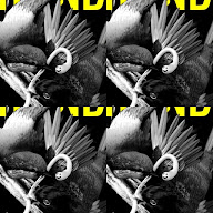 thumbnail img1x1