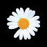 o1x9IjEVvi0-channel-avatar-daisy_flower
