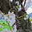 @햄스터-x6f