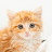 @Catzone-2