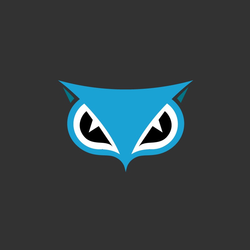 サイバーリーズン・ジャパン(A LevelBlue Company)