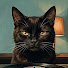 NQLdW2JfX5A-channel-avatar-Midnight Whiskers