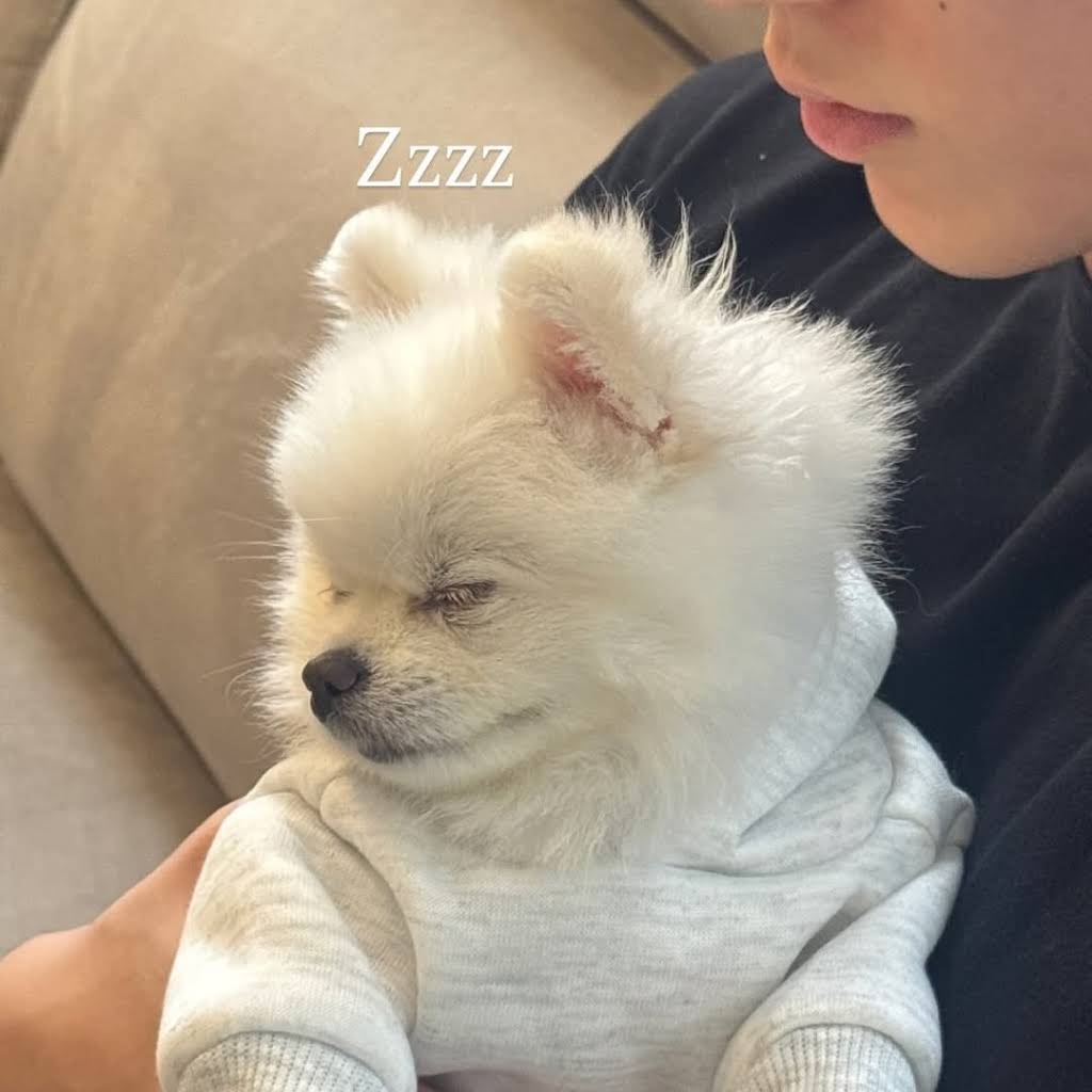 ◆rara♡8♡hanny◆ YouTube