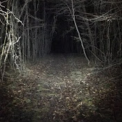 Scary Forest