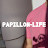 @papillon-life2652