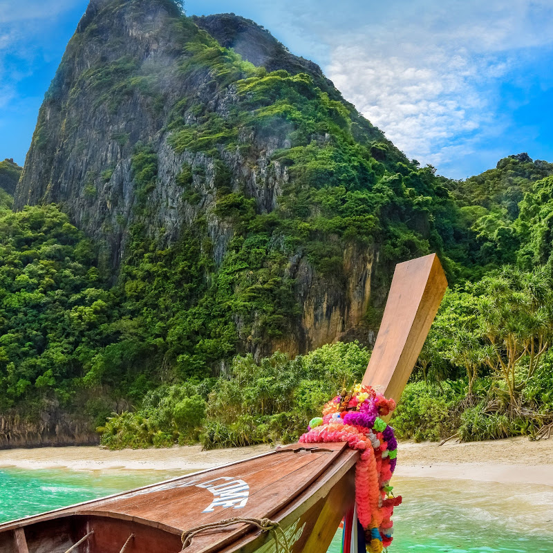 PURE RELAXATION VIDS