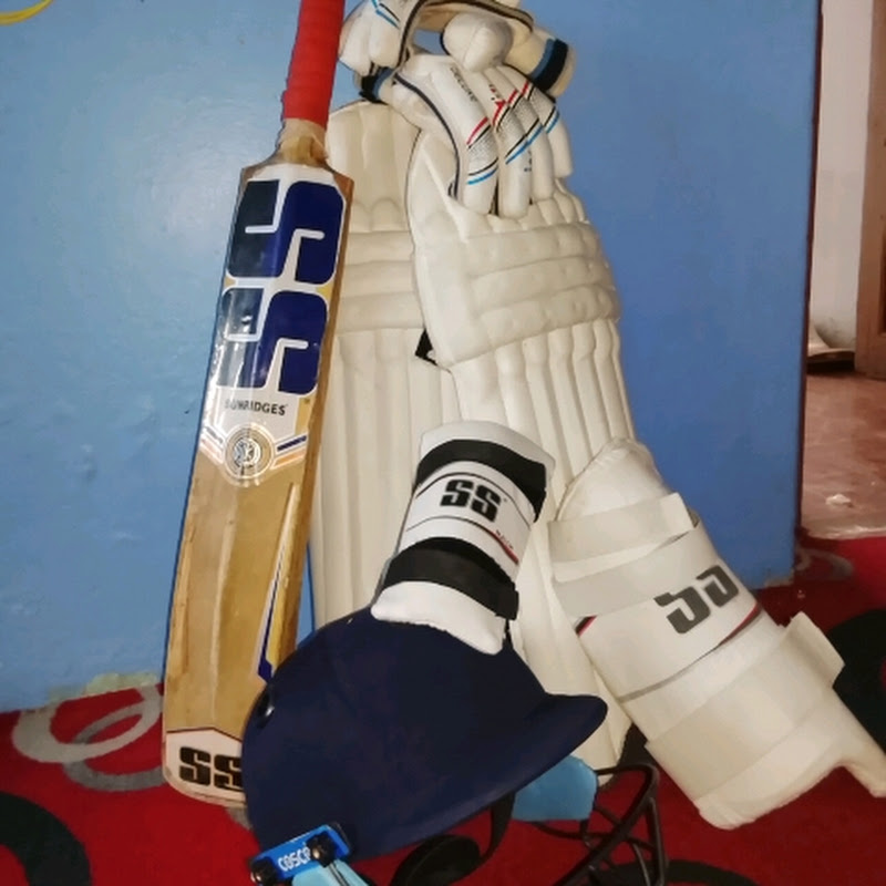 Bhatt family vlog and shorts
