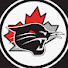 RLs4K_pR374-channel-avatar-NGHAU15B Wildcats