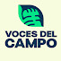 1X7moiWbF6M-channel-avatar-Voces del Campo