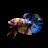 @Aquatic_journey2024 Avatar