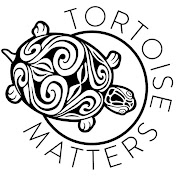 Tortoise Matters