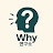 @WhyLabTube