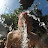 @rubenzen Avatar