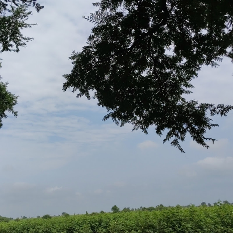 VILLAGE , FARM AND FOOD